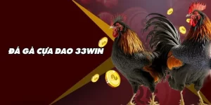 Đá Gà Cựa Dao Là Gì? 5 Mẹo Chơi Đá Gà Chỉ Có Ở 33WIN  4 da-ga-cua-dao-la-gi-anh-bia