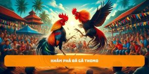 Khám Phá Đá Gà Thomo - Đá Gà Trực Tuyến Hấp Dẫn Tại 33WIN 5 Ảnh Đại Diện đá gà thomo